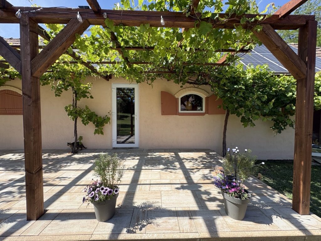 Shaded grapevine pergola with lavender pots in the garden near Krishna Valley